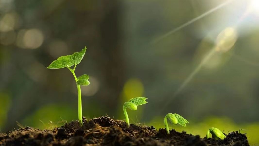 bige-116728-40251-0-6-65f04bf1-d65c-48a1